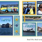23_d7_-_hippo_tour.jpg